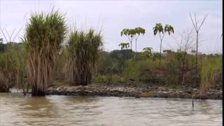 preview picture of video 'Panama Canal Tour'