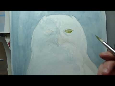 Snowy owl (bubo scandiacus )watercolour portrait