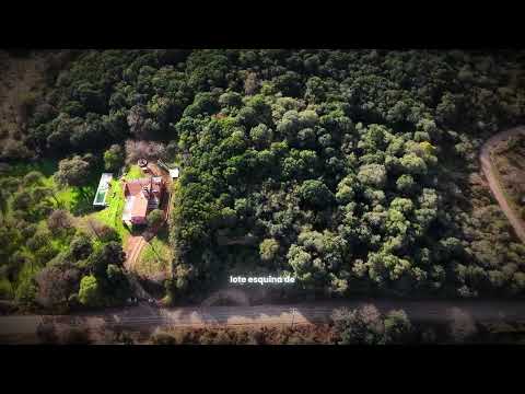 🏡 Lote en Venta en Córdoba | 5.000 m² de Naturaleza y Tranquilidad