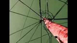 HiM-Twirling Dub-Iterpretive Belief System.mov
