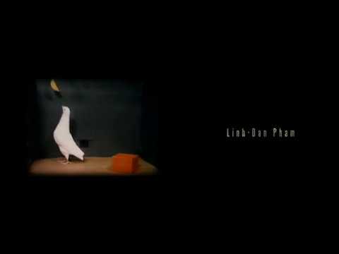 La superstizione del piccione - Mr. Nobody 2009