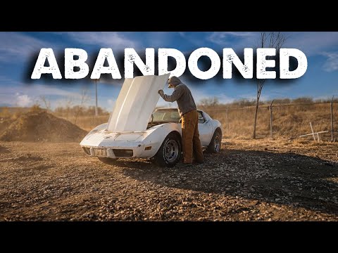 Corvette PARKED FOR A DECADE will it RUN and DRIVE?