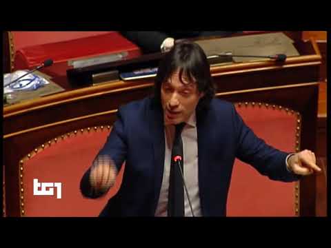 Gianluca Perilli (M5S) - Servizio Tg1 - 26/03/2020