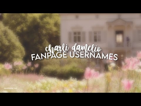 Featured image of post View 25 Charli Fp Usernames Ideas