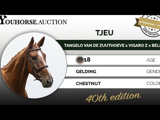Tjeu