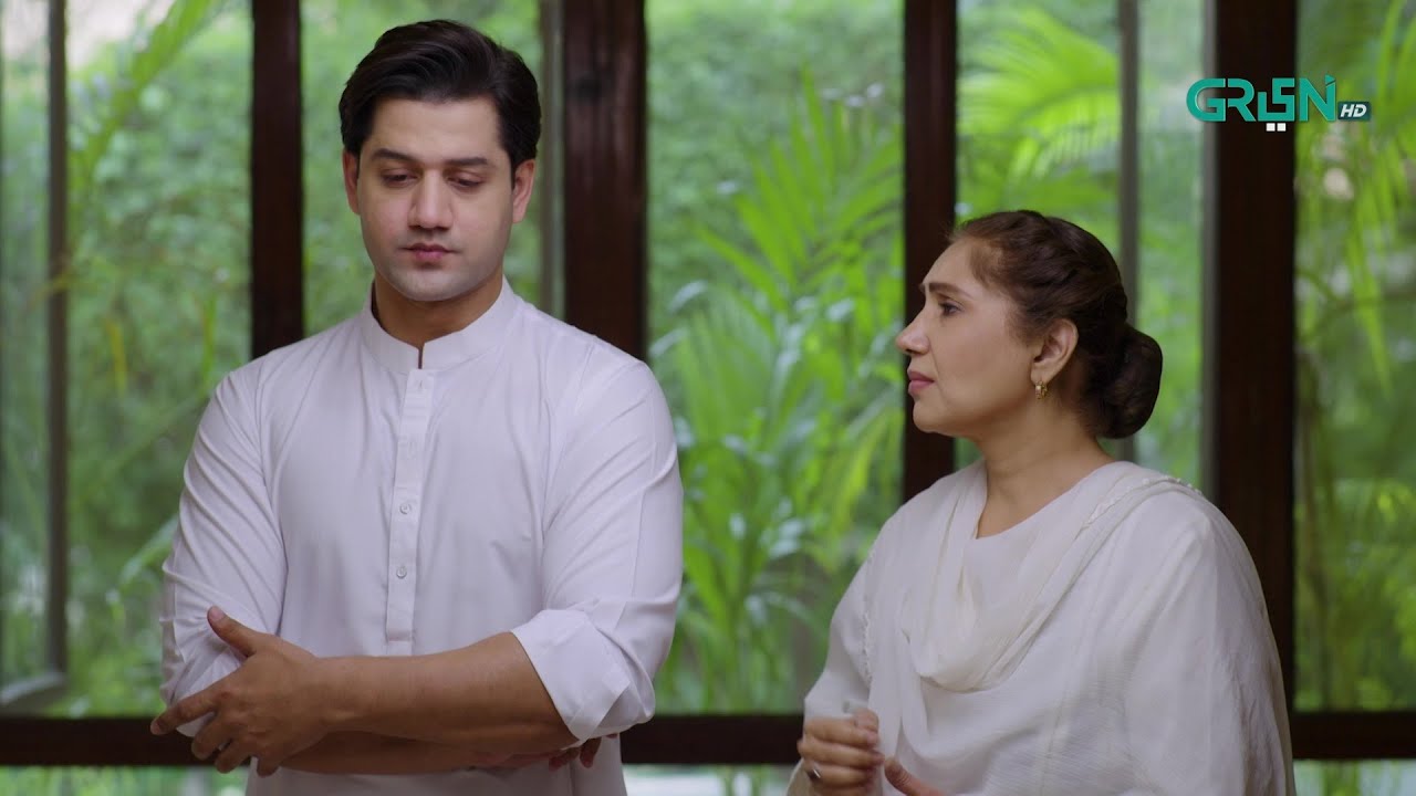 Kis Haal Mein Hogi Kashan Ki Maa | Aik Bhool | Saniya Shamshad - Ali Abbas | Green TV Entertainment