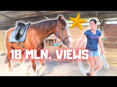 18 Million Views! Amazing! Rising Star with Saddle. Panic for Yfke! | Friesian Horses