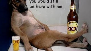 Monday Monday - The Mamas &amp; The Papas - Lyrics