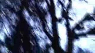 Walk in Oregon windstorm