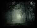 Sombres Forêts - Le Royaume 