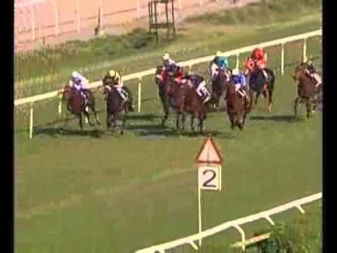 Premio Parioli 2006 (Roma, GR 2)