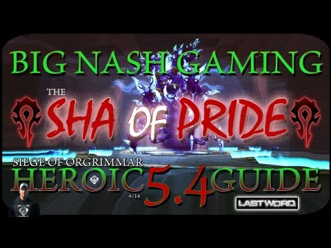 Heroic Sha of Pride Raid Guide