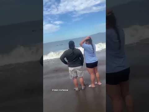 ¡Desesperado! Padre llora por su hijo desaparecido en el mar