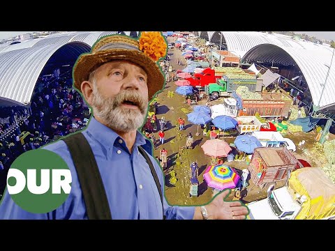 Explorando o maior mercado de frutas e vegetais do mundo - México | Os maiores mercados de alimentos do mundo