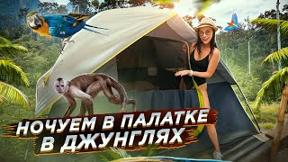 Доминикана! Остались без денег! Ночуем в палатке в джунглях!