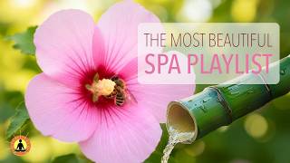 3 Hours of Soothing Spa Music for Digital Detox  | No Interrupting Ads