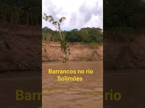 RIOS DA AMAZÔNIA. Barrancos na margem do rio Solimões. Município de Alvarães, estado do Amazonas.