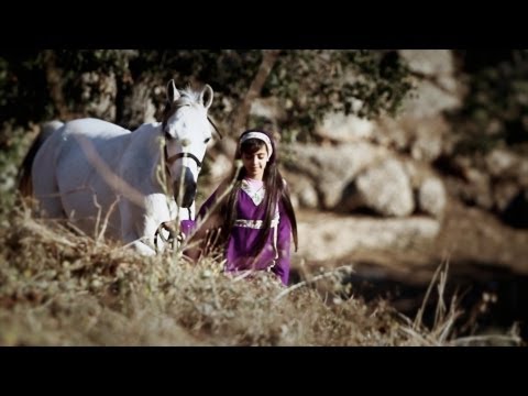 hdooosh5’s Video 20936588635 AoEF5g2o0GU