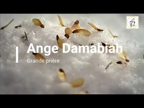 N°65 Ange Damabiah 10 Février au 14 Février