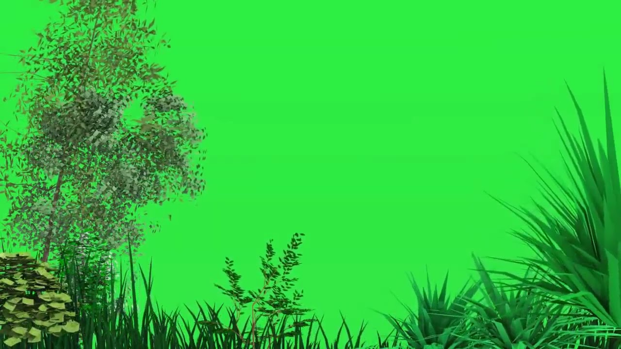Plants moving - free green screen