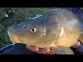Carp Fishing With Meat - "The Meat Feeder" 