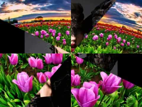 Ustad Farida Mahwash:  Molâ Mâmad Djân