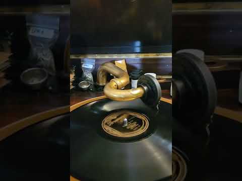 Betty - Ben Selvin & his Orchestra Brunswick Records #3172 1926 (LR)