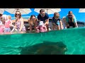 Preview the all new Irukandji Shark & Ray Encounters at Anna Bay