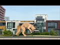 Kunst in de achtertuin in Almere-Haven