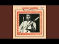 Lonesome Day - Muddy Waters - Topic Lonesome Day