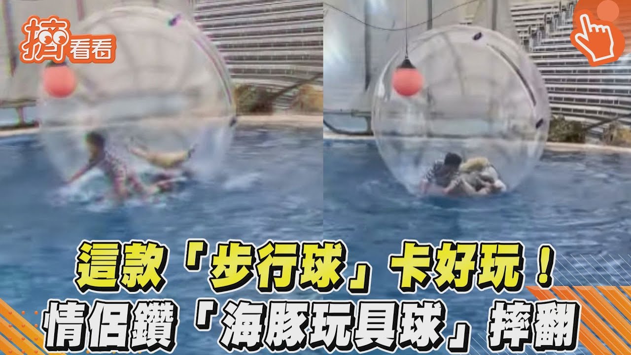 影音／這款「步行球」卡好玩！　情侶鑽「海豚玩具球」摔翻