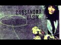 Cassandra Vasik - Digging the hole