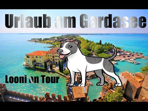 Tag 8 am Gardasee// Hund Vs Eidechse// Loonis Journey