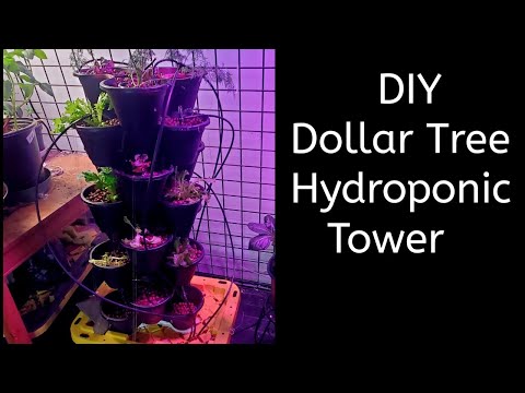Video: DIY Dollar Tree Hydroponics Tower Build