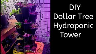 Thumbnail for video: DIY Dollar Tree Hydroponics Tower Build