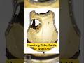 Haunting Relic from the Battle of Waterloo: Antoine Favreau’s Breastplate#archaeology #artifact
