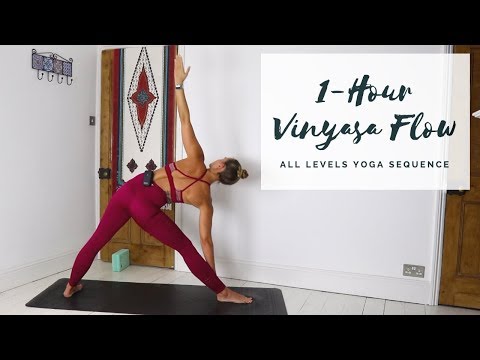 1-HOUR VINYASA FLOW | All Levels Yoga Sequence | CAT MEFFAN