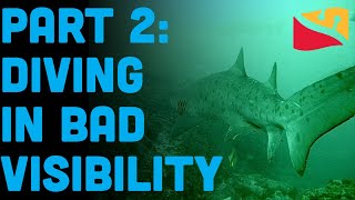 How To Scuba Dive In The Ocean Part 2: Visibility Presented By Dive Rite