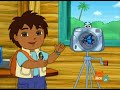 Go Diego Go A Blue Morpho Butterfly Is Born Information On Blue Morpho Butterflies