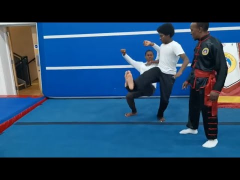 Kung Fu Break Down Of The Flow Vid 20 Mantis Kung Fu Sifu Bryan