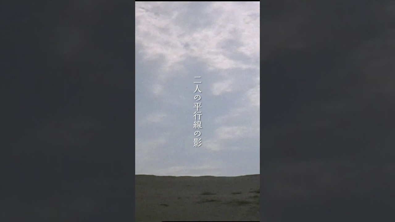 あしながのサルヴァドール