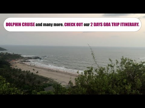 Dolphin Cruise and many more | 2 Days North Goa Trip Itinerary To See More Than Just Beaches