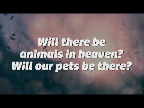 Will there be animals in heaven? Will our pets be there?