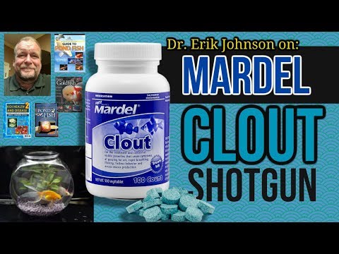 download lagu mp3 mp4 Mardel Clout, download lagu Mardel Clout gratis, unduh video klip Mardel Clout