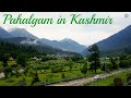 Pahalgam || Pahalgam Zoo || Kashmir || Tourist place in Kashmir || Travel Vlog || Documentary Film