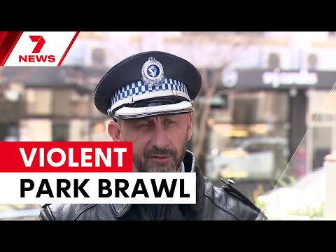 Bloody knife fight in Glebe park leaves six injured | 7NEWS