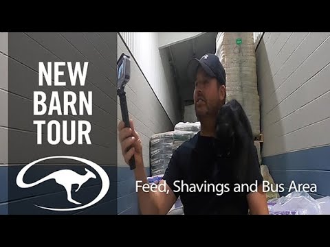 New Barn Tour: Feed, Shavings and Bus Area