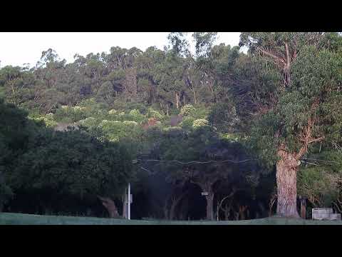 Balneario La Tuna - Monte