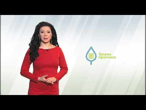 Zelena prognoza, 26.4.2016. - O plamenjači luka