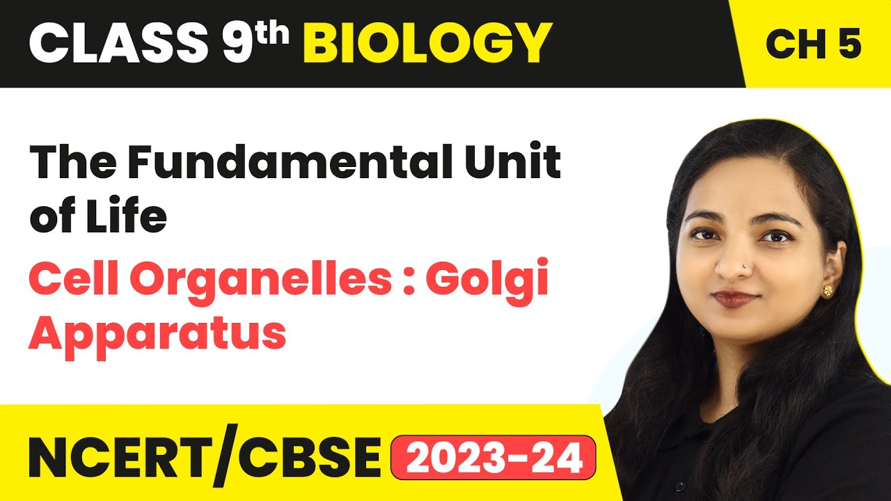 Cell Organelles : Golgi Apparatus - The Fundamental Unit of Life | Class 9 Biology Chapter 5 2023-24